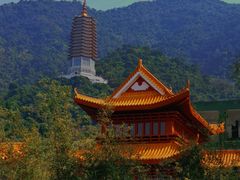 -深圳仙湖植物园
