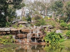 -东莞植物园