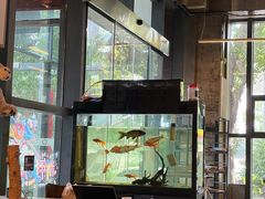 -了不起的考拉咖啡店(高新店)