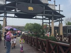 -荷塘月色湿地公园·向阳花洲