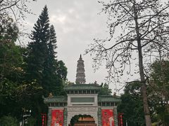 -顺峰山公园