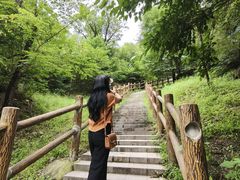 -白水寺森林公园