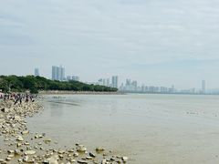 -深圳湾公园(南山区)