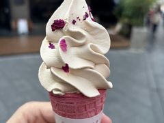-茶颜悦色(岳麓山顶店)