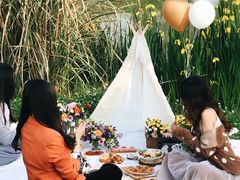 -白鹭湾湿地公园