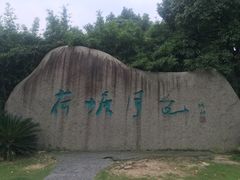 -荷塘月色湿地公园·向阳花洲