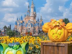 -上海迪士尼度假区