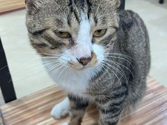 -玉椰林甜品店(创始店)