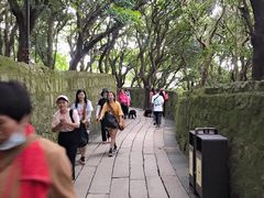 -普陀山风景区-佛顶山
