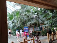 -国信南山温泉