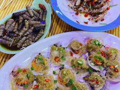 清蒸扇贝-九层海鲜塔(市南店)