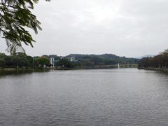 -东莞植物园