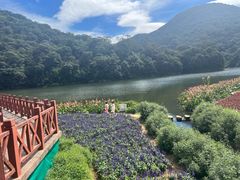 -广州市石门国家森林公园