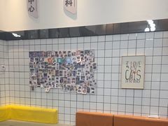 -半岛宠物医院24小时(科华中路店)