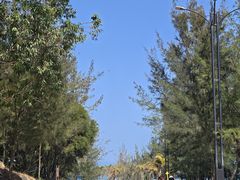 -汕尾风车岛