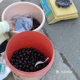 今年过年在江西婺源篁岭吃到的美食