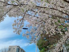 -江南大学(蠡湖校区)