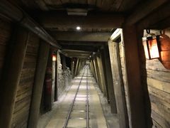 -疏芬山金矿