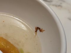-日丰园海肠水饺·老字号大连海鲜(银泰城店)