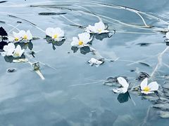 -丽江泸沽湖景区