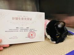-悦宠凯宝动物医院·牙科·皮肤科(朝阳北路店)