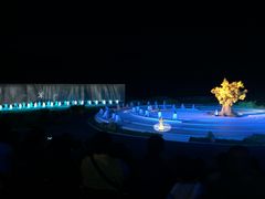 演出-鼎盛王朝康熙大典实景演出