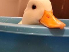 -哆士屋国民面包商店(塘朗店)