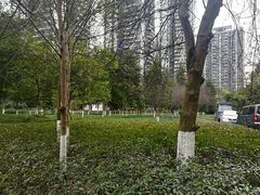 -重庆彩云湖湿地公园