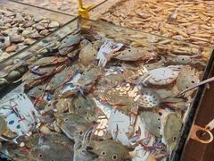 -领鲜活海鲜榴莲自助火锅(东门店)