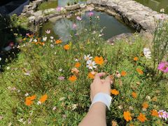 -MOJ coffee(瓯海泽雅水碓坑店)