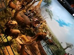 -陕西自然博物馆