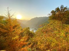 -四明山国家森林公园