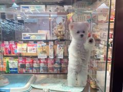 -FAELING PETS美天灵宠物(富力广场店)