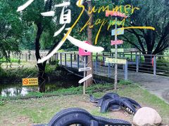 -前小桔亲子创意农场·草莓采摘·露营烧烤