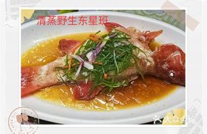 Steamed Wild Orange Roughy