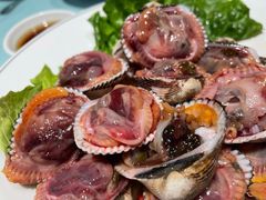 -高佳庄·舟山海鲜(海景旗舰店)