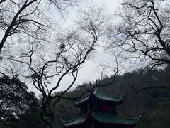 -岳麓山风景名胜区
