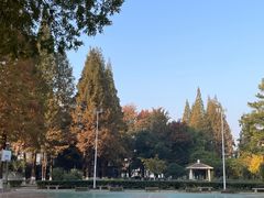 -苏州市公园路幼儿园