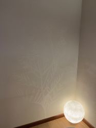 -芳香乐府疗愈空间·SPA·冥想