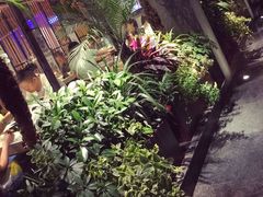 -打酱友•斑鱼海鲜粥火锅(吴桥店)