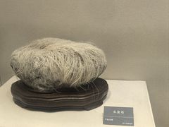 -安徽省地质博物馆