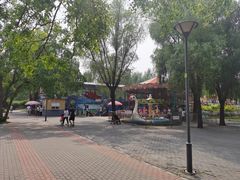 -朝阳公园游乐园