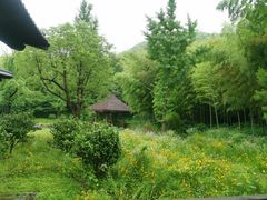 -兰亭风景区