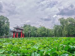 -四川大学(望江校区)