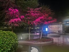 -三江森林温泉度假区
