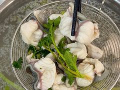-金砂阿洲鱼册店