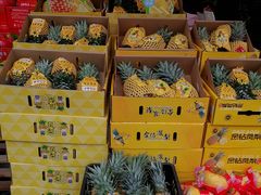 -双福水果批发市场