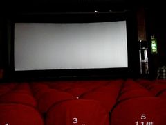 放映厅-和平电影院