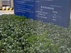 -青岛富力艾美酒店