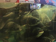 -莞香楼·正宗东莞菜(东升店)